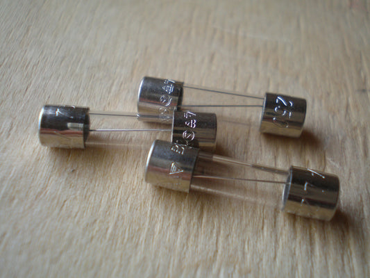 20MM Anti surge fuses various ratings